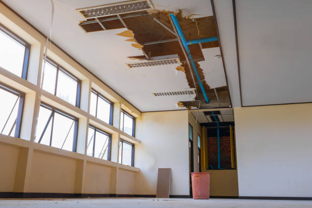 Best Water damage restoration near me  in Hillcrest Heights, MD