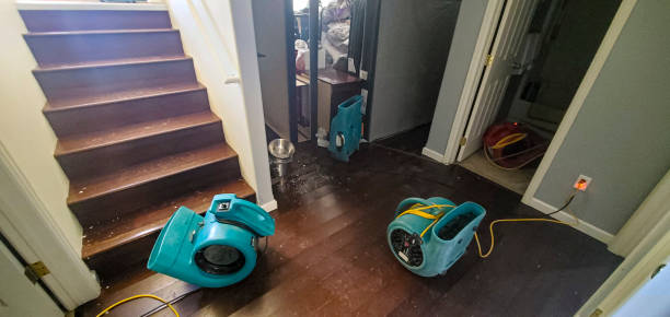 Best Ceiling water damage repair  in Hillcrest Heights, MD