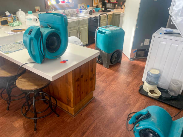 Best Sewage cleanup and water damage restoration  in Hillcrest Heights, MD