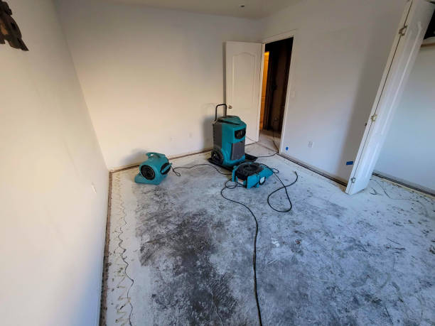 Best Emergency water damage restoration  in Hillcrest Heights, MD