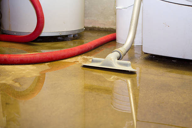 Best Carpet water damage restoration  in Hillcrest Heights, MD