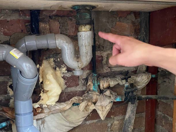 Best Water damage repair service  in Hillcrest Heights, MD