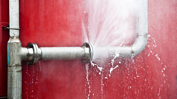 Best Water damage contractors near me  in Hillcrest Heights, MD