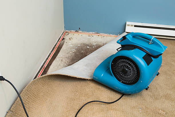 Best Fire Damage Restoration  in Hillcrest Heights, MD